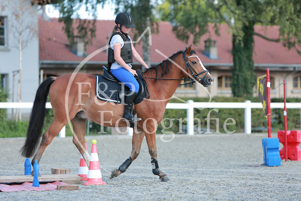 Gymkhana P22 Pony-Pferd Stufe lplus