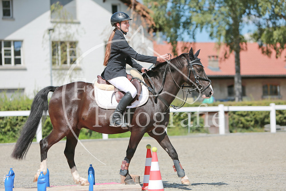 Gymkhana P23 Pony-Pferd Stufe ll