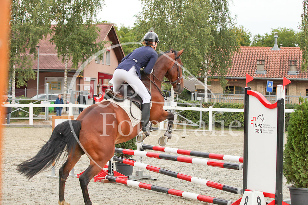 Springen P5 B65