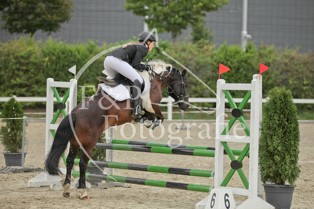 Springen P7 B75