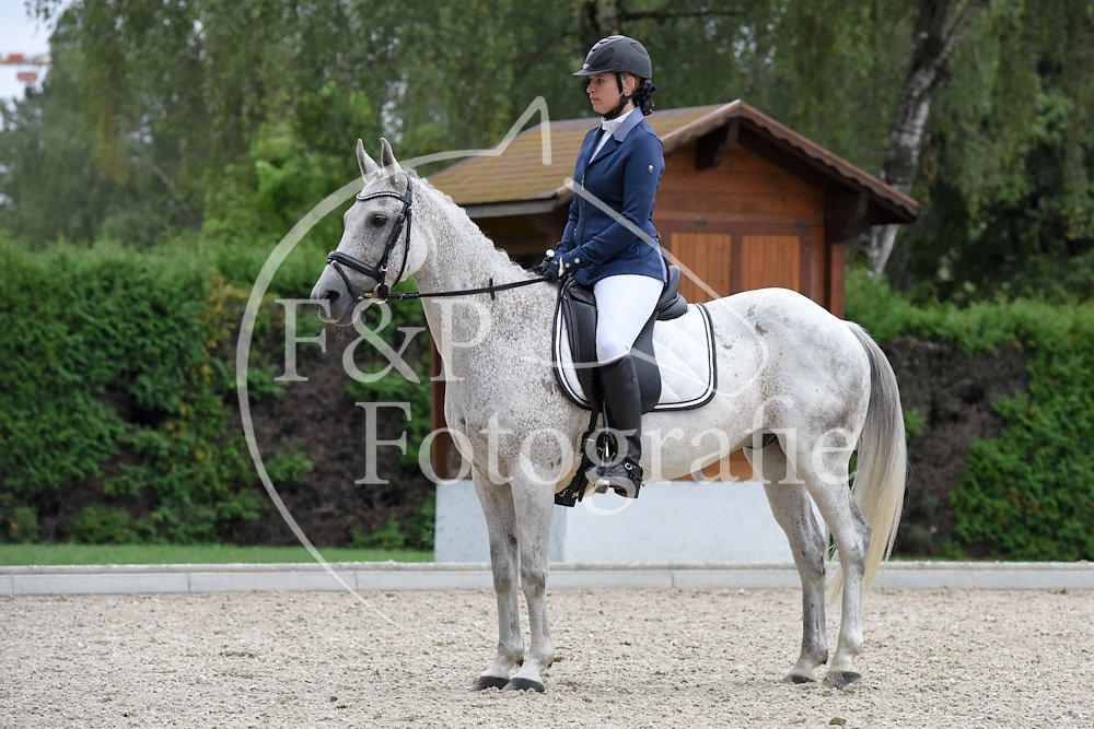 Dressur P1 GA03 Start 17-35