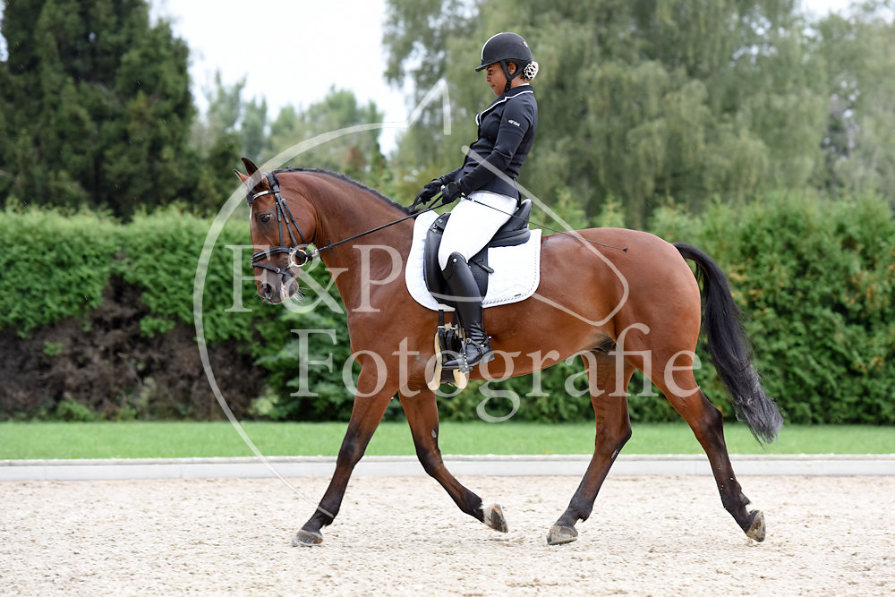 Dressur P2 GA03 Start 17-35