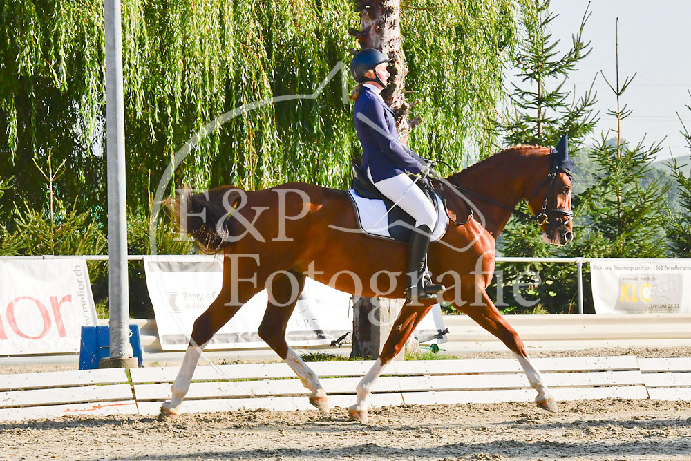 20180908080031-PRI-5343.jpg