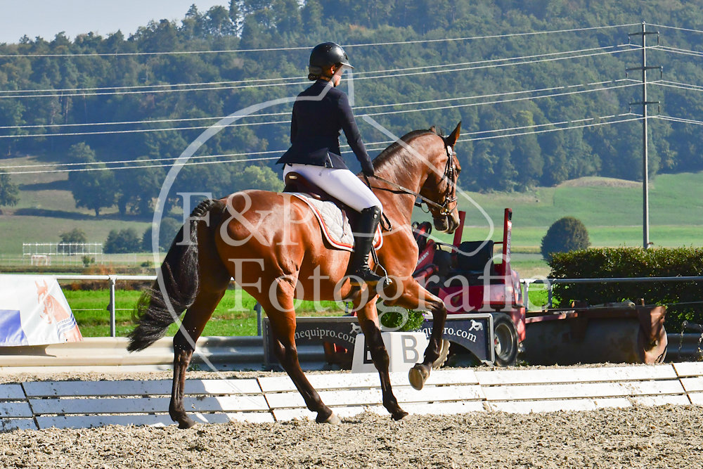 20180908091332-PRI-5573.jpg