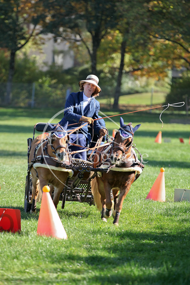 Fahren P18 Pony