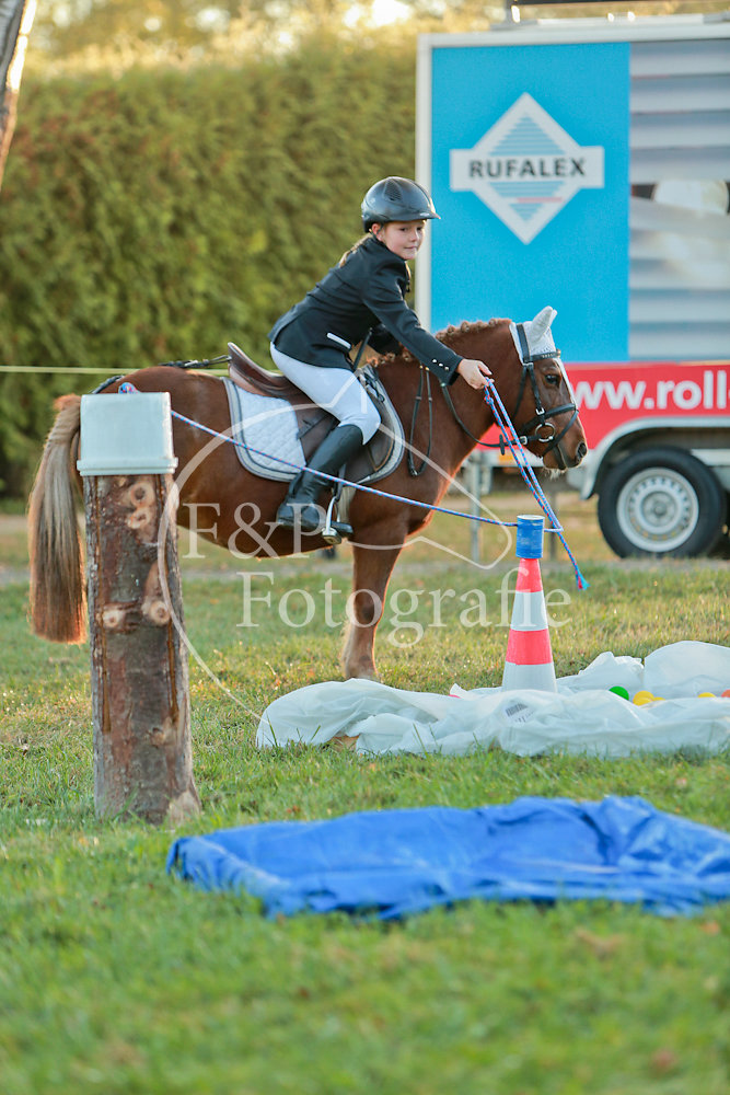 Gymkhana P8 Pony Stufe 1