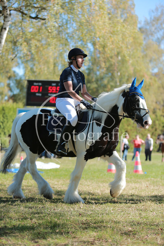 Gymkhana P10 Pony Stufe 2