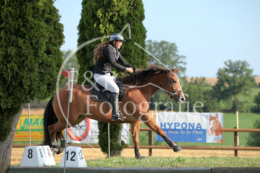 Springen P2 Green Jump Start 1-19