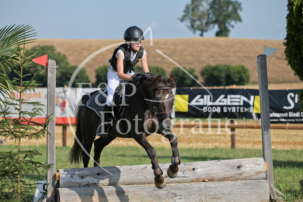 Springen P3 B60 Start 1-19