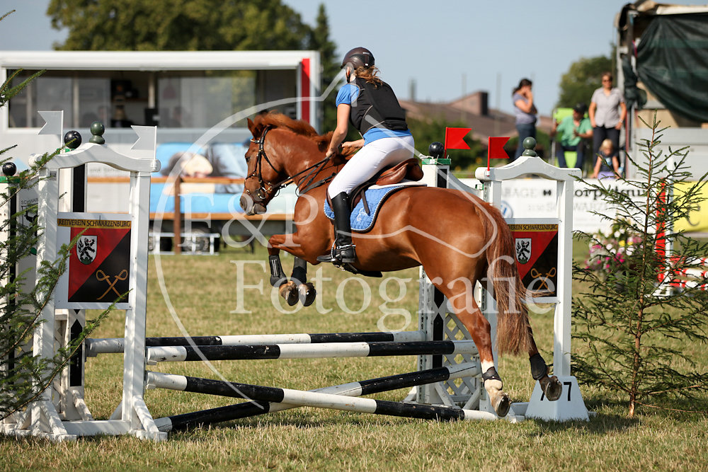 Springen P3 B60 Start 20-40