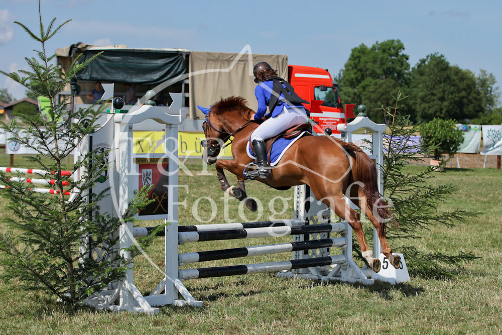 Springen P4 B70 Start 1-18