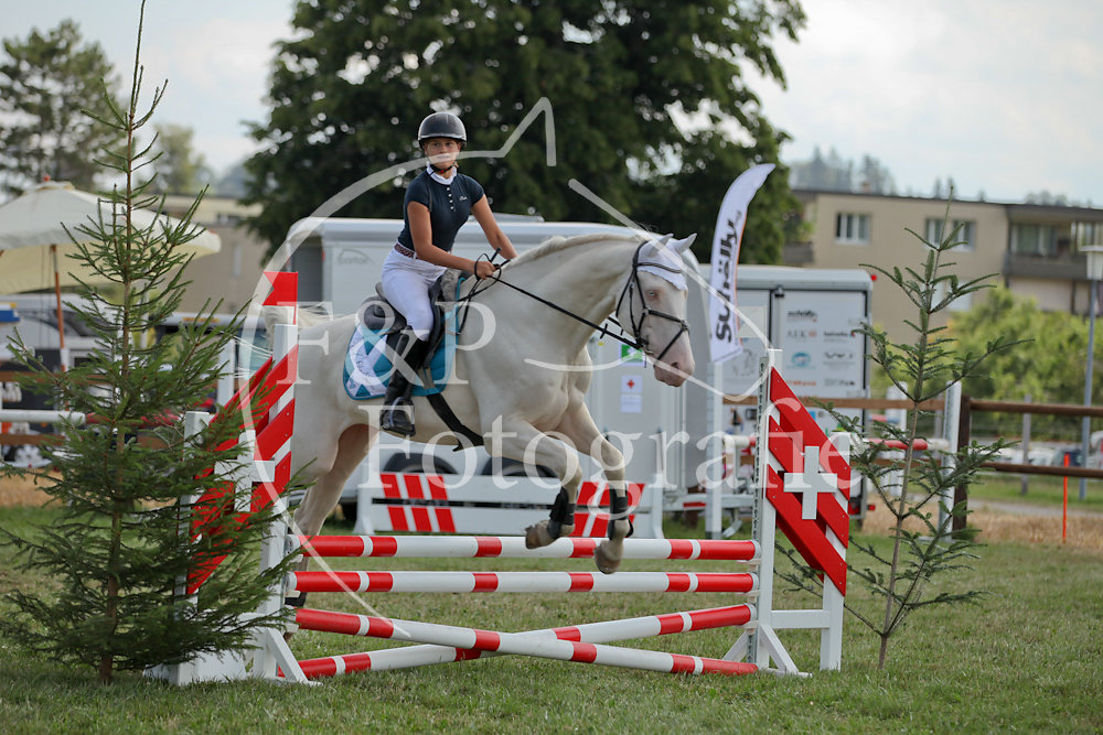Springen P4 B70 Start 19-37