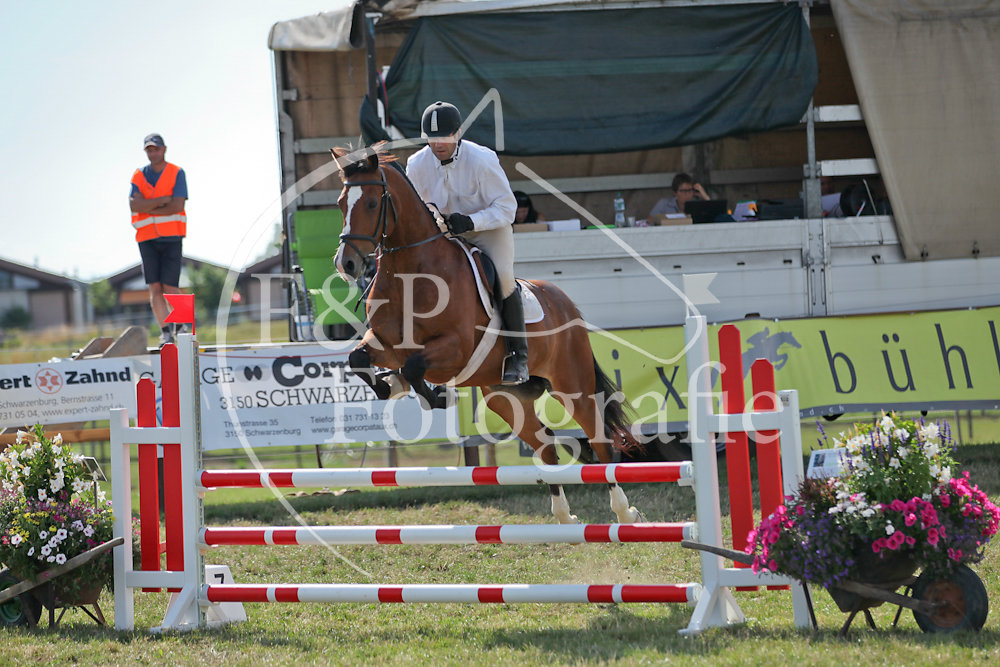 Springen P10 FMHF3 2PH Start 1-11