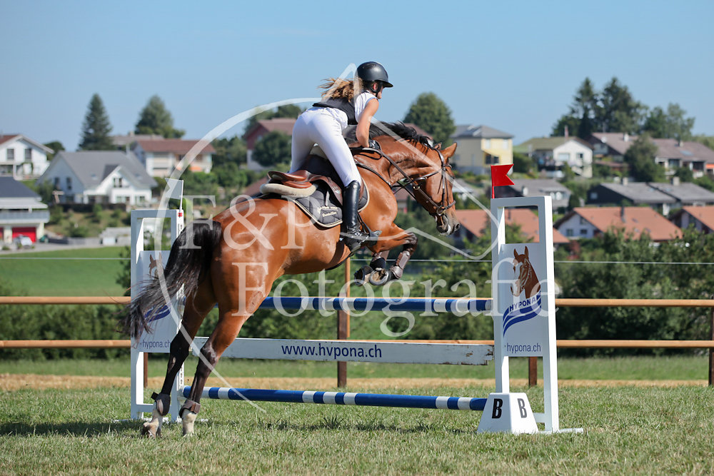 Springen P14 BR100 Start 1-25
