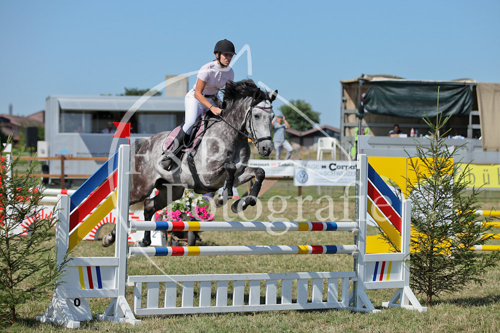 Springen P14 BR100 Start 26-51