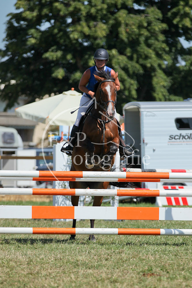 Springen P16 RN110 Start 21-40