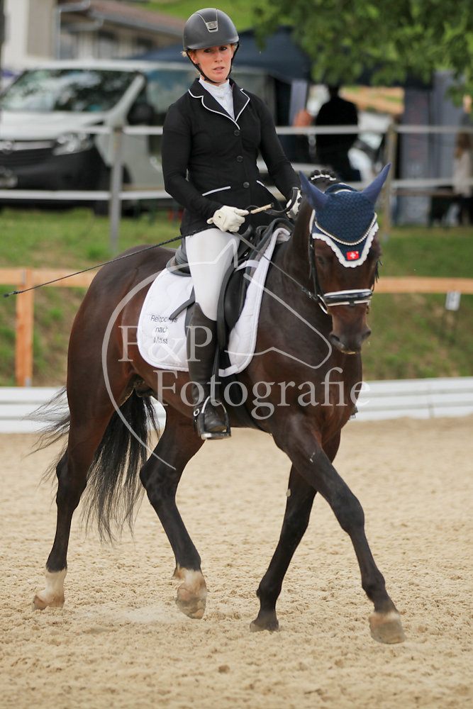 Dressage P3 FB09 Start 1-9