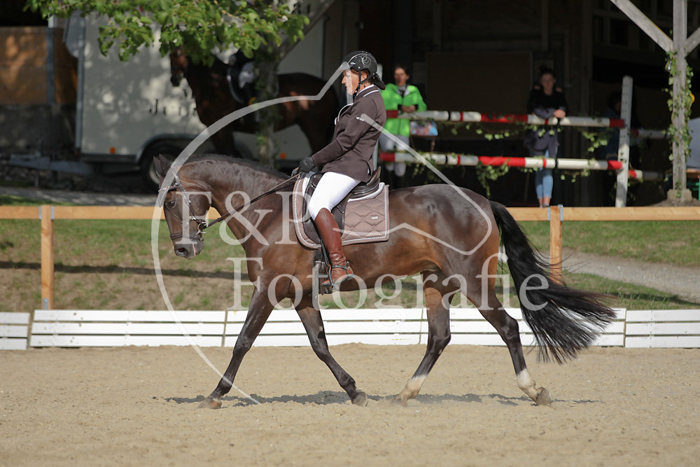 Dressage P3 FB09 Start 10-16