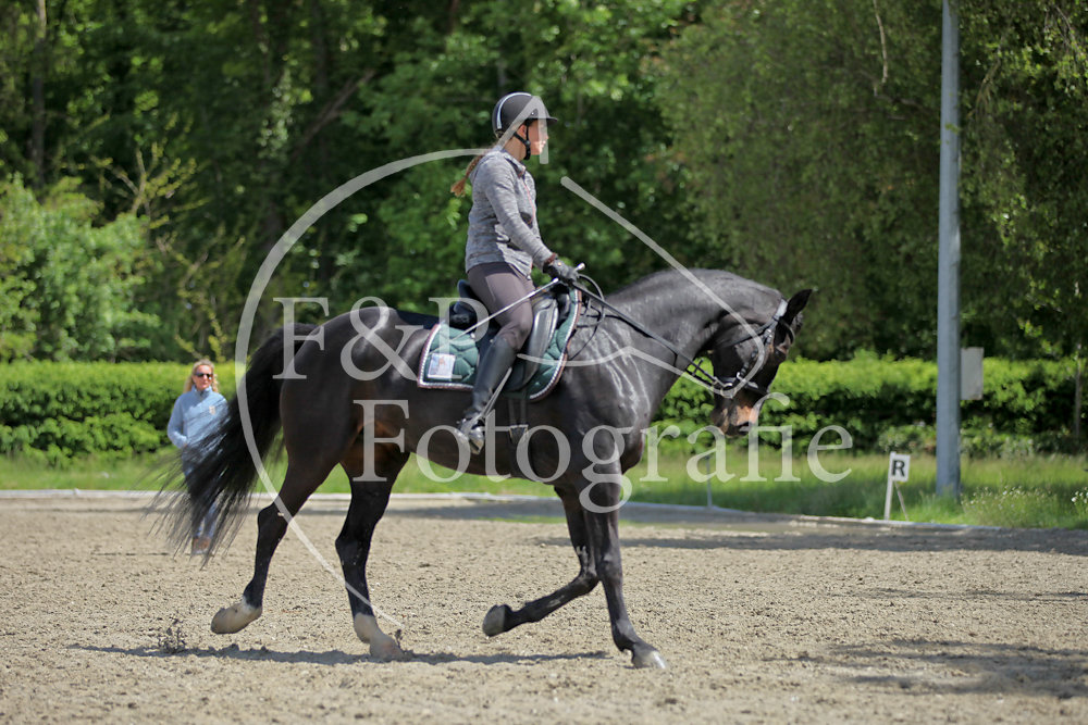 Alex Dressage