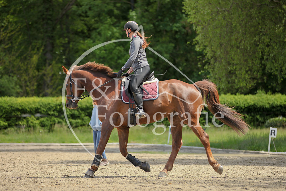 Mathilde Dressage