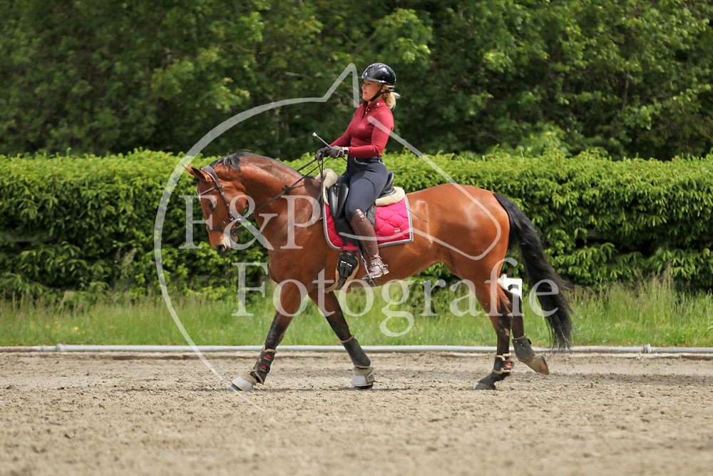 Nathalie Dressage