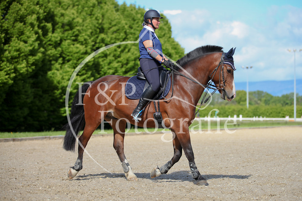 Dorthe Dressage