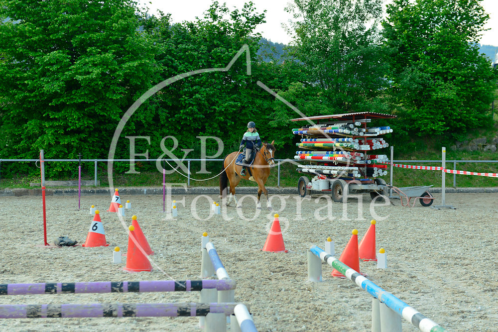 Gymkhana Impressionen